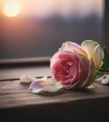 150+ Heartfelt Breakup Quotes for Healing and Strength Thoughtful breakup quotes and captions to help you embrace healing, self-love, and brighten your path after heartache.