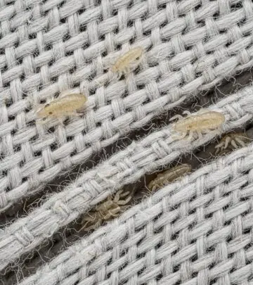 Can Head Lice Live on Pillows and Sheets? Facts & Prevention Guide Exploring the real risk of head lice spreading through bedding and how to prevent infestations effectively