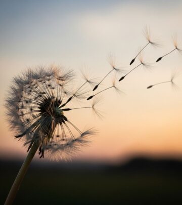 Can You Ever Stop Loving Someone? Navigating the Complex Emotions of Letting Go