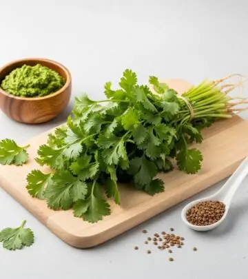 Top 14 Cilantro Benefits for Skin, Hair, and Health Harness the remarkable benefits of cilantro for clearer skin, stronger hair, and holistic wellness.
