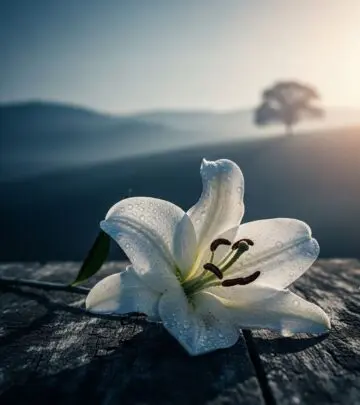 Honor your brother's memory with touching quotes that celebrate his life and legacy