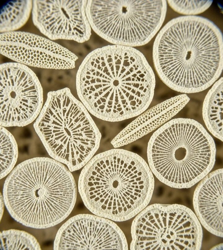 Explore the versatile applications, science-backed benefits, and essential precautions of diatomaceous earth for home, health, and garden.