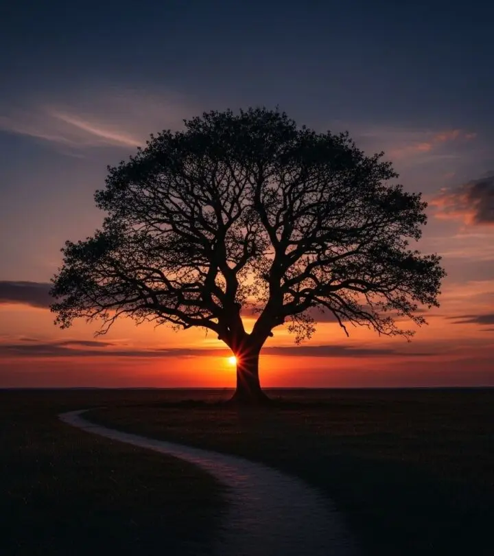 Discover 95 powerful quotes about fear, courage, and transformation to motivate you through life's uncertainties and changes.