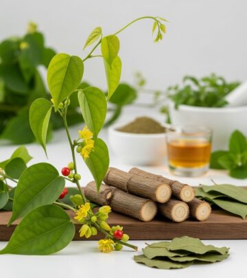 Giloy (Tinospora cordifolia): Powerful Health Benefits, Uses, and Risks Giloy (Tinospora cordifolia): Powerful Health Benefits, Uses, and Risks