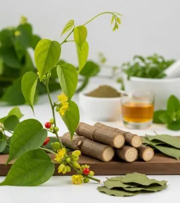 Explore the science-backed health benefits, Ayurvedic uses, and safety considerations of Giloy, an ancient medicinal herb revered for wellness.