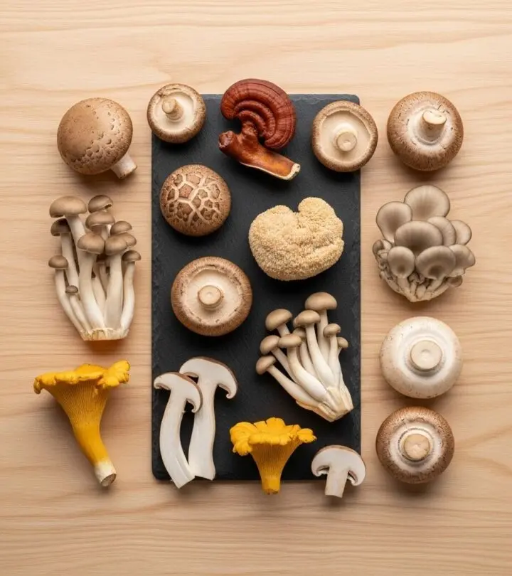 Discover the incredible benefits of mushrooms – from immunity and heart health to glowing skin and stronger hair.