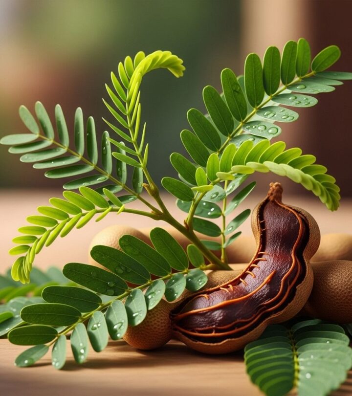 12 Amazing Health Benefits And Uses Of Tamarind Leaves Discover the surprising health benefits of tamarind leaves, from powerful antioxidants to natural remedies for modern health challenges.