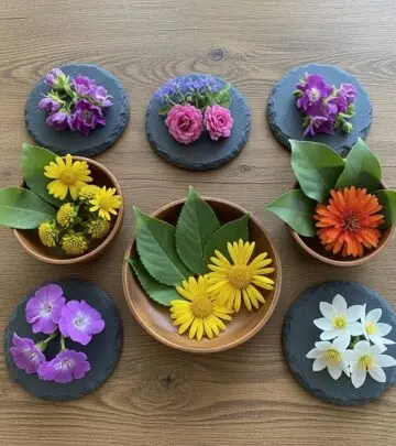 Discover natural and DIY solutions to effectively cover grey hair at home, using safe ingredients and simple techniques for healthier, vibrant results.