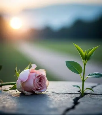 Navigate the emotional journey of moving on from a crush with compassionate, research-based strategies and actionable self-care tips.