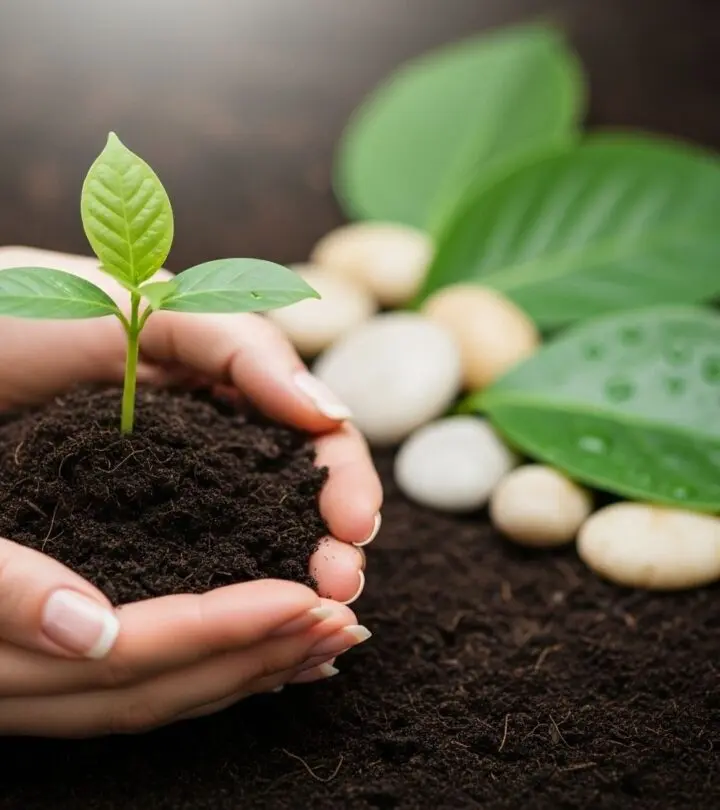 How to Increase Breast Size Naturally: Safe and Effective Methods Discover safe, natural ways to enhance breast size and improve breast health without surgery or risky procedures.