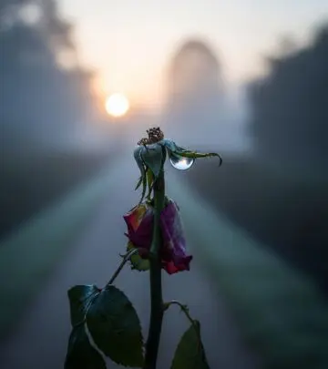 Hurt Quotes: 305+ Powerful Sayings to Heal and Move Forward Discover powerful hurt quotes to help you heal, find comfort, and move forward after emotional pain.