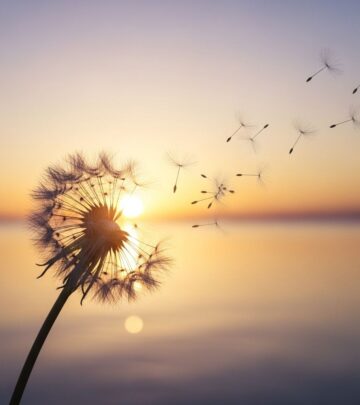 200+ Inspiring Divorce Quotes to Help You Move Forward