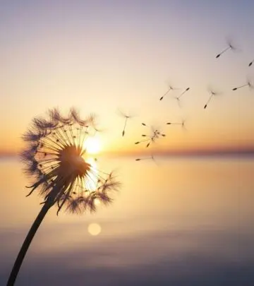 200+ Inspiring Divorce Quotes to Help You Move Forward Empowering words to guide you through separation and rediscover yourself