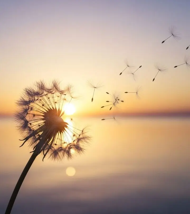 200+ Inspiring Divorce Quotes to Help You Move Forward Empowering words to guide you through separation and rediscover yourself