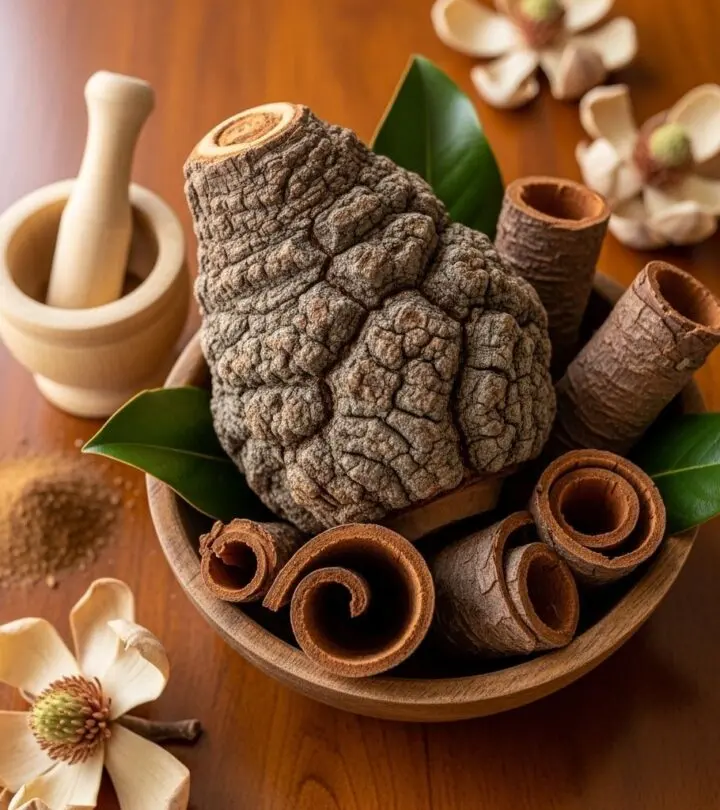 Explore the extensive health benefits, uses, and science behind magnolia bark, a time-honored botanical hailed for its calming and disease-fighting properties.