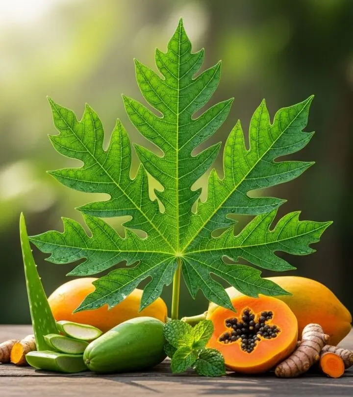 Explore the wide-ranging benefits of papaya leaf for revitalizing your skin, strengthening hair, and boosting overall wellness.