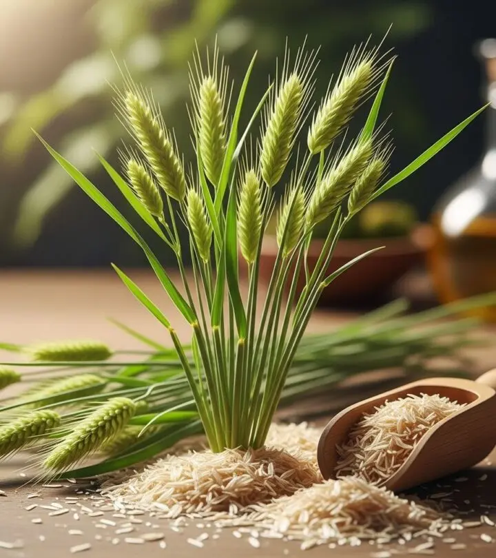 Discover the scientifically-backed benefits of psyllium husk—from digestive support to heart health and practical uses in daily nutrition.