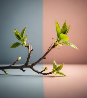 200+ Quotes and Sayings for Relationship Problems, Healing, and Growth