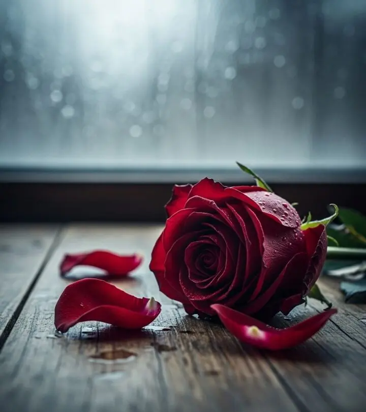 Let your heart find solace in these soul-stirring sad love poems for broken hearts, heartbreak, and lost love.