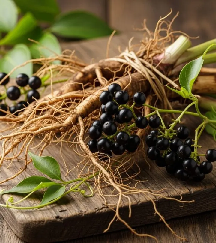 Explore the extensive health benefits, historical uses, and safety considerations of sarsaparilla, an ancient medicinal herb now embraced for modern wellness.