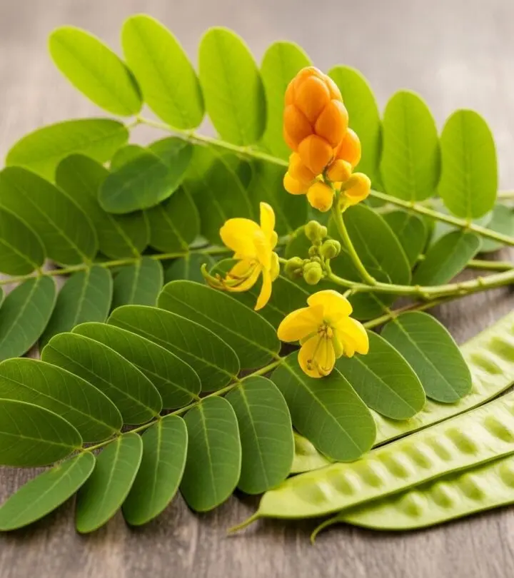 Senna Plant: Benefits, Uses, and Potential Side Effects Discover the health benefits, traditional uses, and safety considerations of the versatile senna plant, renowned for its laxative effects.