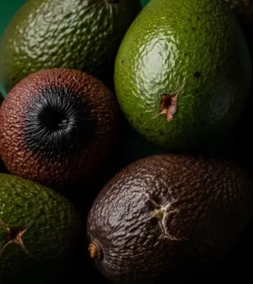10 Serious Side Effects of Avocados You Need to Know While avocados offer many health benefits, overeating or certain sensitivities can turn this superfood into a health risk. Learn the key side effects.
