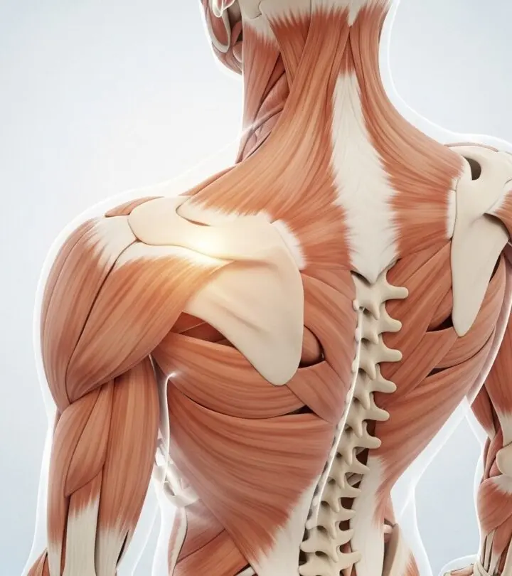 Understand the causes, symptoms, and the best home remedies for shoulder blade pain, with expert tips and answers to common questions.