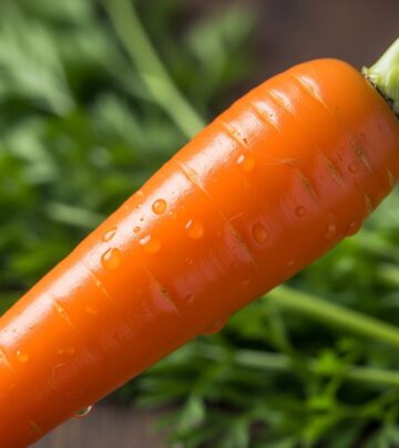 Surprising Side Effects Of Carrots You Should Know