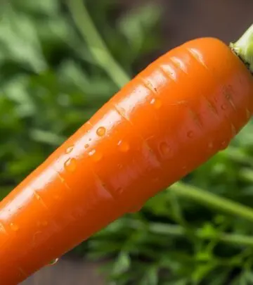 Surprising Side Effects Of Carrots You Should Know While carrots are healthy and nutritious, excessive consumption may lead to surprising side effects—from skin discoloration and allergies to drug interactions.