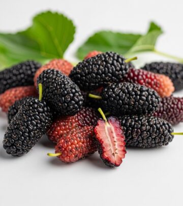 4 Unexpected Side Effects Of Mulberry You Should Know 4 Unexpected Side Effects Of Mulberry You Should Know