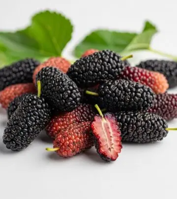 Discover the lesser-known risks of eating mulberries, including digestive issues, hypoglycemia, and drug interactions.