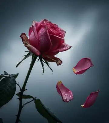 15 Warning Signs of an Unhealthy Relationship You Shouldn’t Ignore Learn the critical warning signs of unhealthy relationships, their effects on well-being, and how to take positive steps for healthier connections.