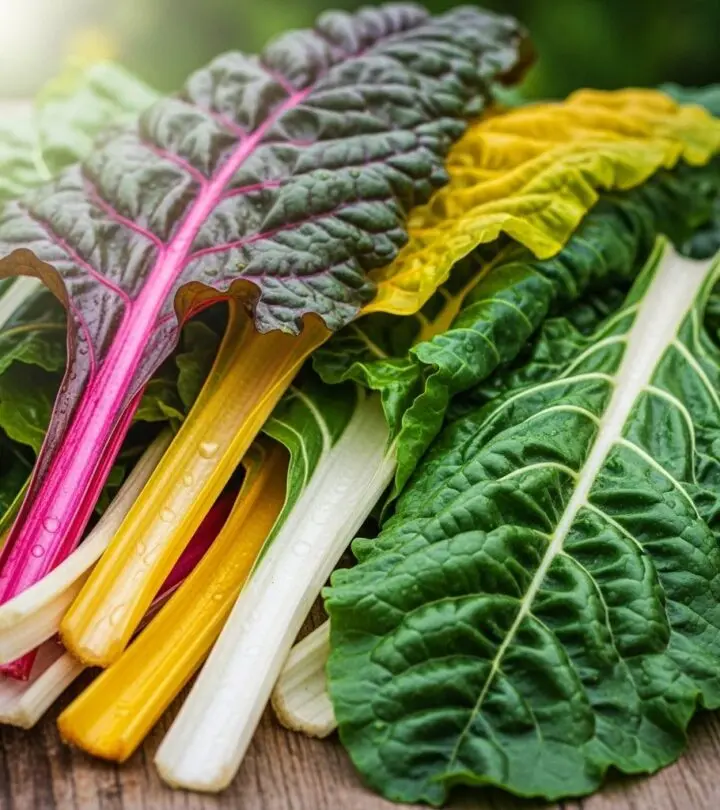 Swiss Chard: Powerful Health Benefits, Nutrition, and Uses Unlock the health potential of Swiss chard—discover key benefits, nutrition facts, and tips for including this antioxidant-rich superfood in your diet.