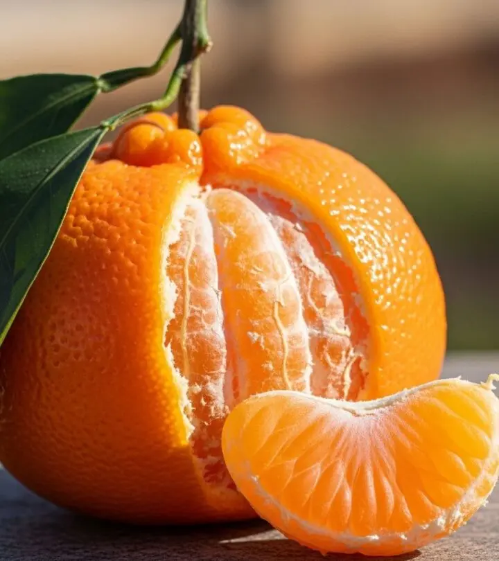 Discover the incredible health benefits, popular varieties, and delicious uses of tangerines—a vibrant citrus fruit packed with nutrients.