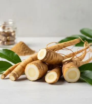 Tongkat Ali (Eurycoma longifolia): Benefits, Uses, Dosage & Risks Explore the science-backed benefits, traditional uses, dosage guidelines, and potential risks associated with Tongkat Ali (Eurycoma longifolia) supplementation.