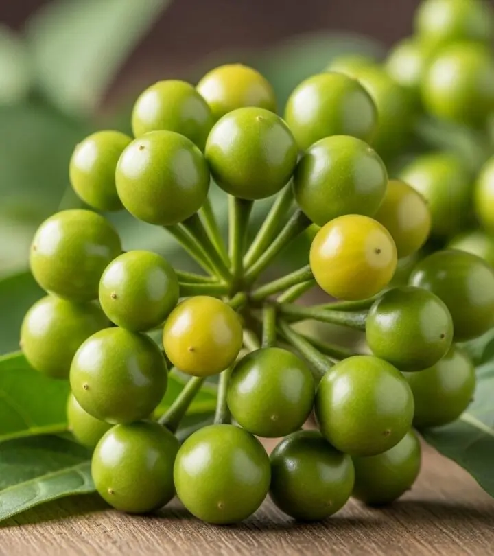 Explore the nutritional value, health benefits, uses, and possible side effects of turkey berry, a powerful medicinal fruit.