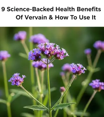 Discover the therapeutic power of vervain—a mythical herb—for stress relief, heart, liver, and digestive health.