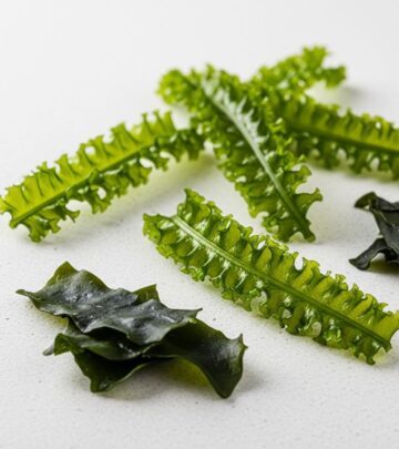 Wakame Seaweed: Health Benefits, Nutrition, and Risks Wakame Seaweed: Health Benefits, Nutrition, and Risks