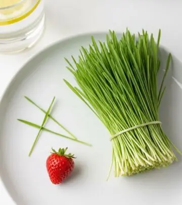 Wheatgrass Side Effects: Myths, Risks, and Safety Guidelines Understand potential side effects, risks, and key precautions before adding wheatgrass to your routine.