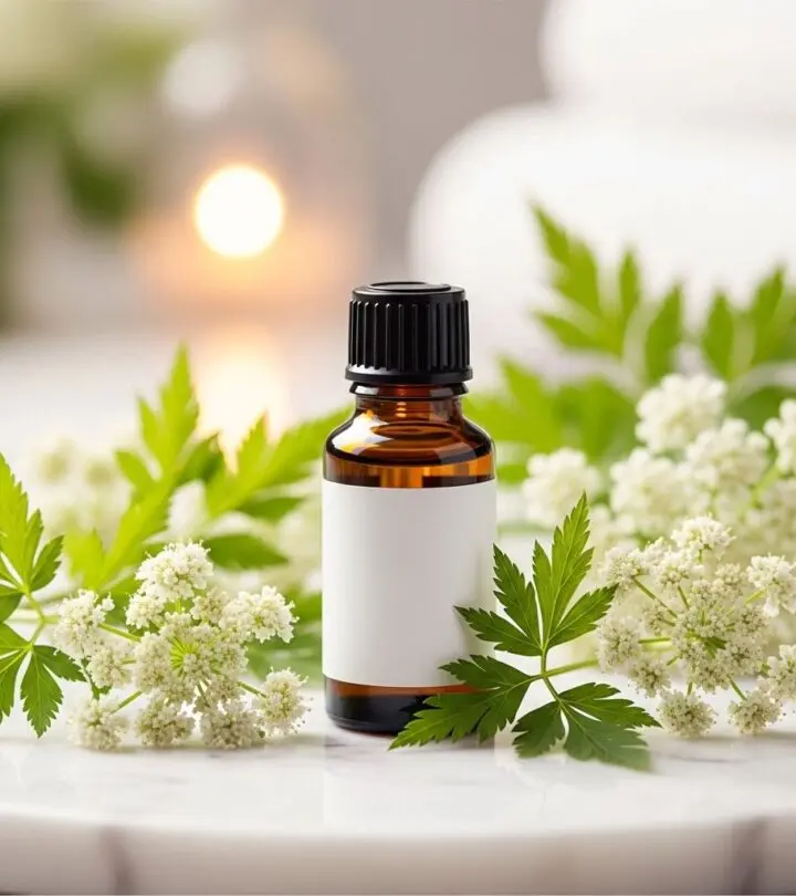White Angelica Oil: Benefits, Uses, and Precautions You Should Know Unveil the holistic advantages of White Angelica Essential Oil—from health and spiritual upliftment to practical uses for well-being.
