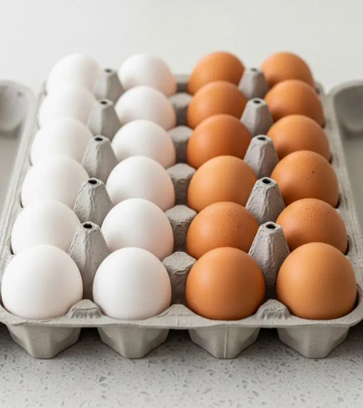 Demystifying the egg aisle: Discover the truth about white and brown eggs, including nutrition, taste, cost, and consumer misconceptions.
