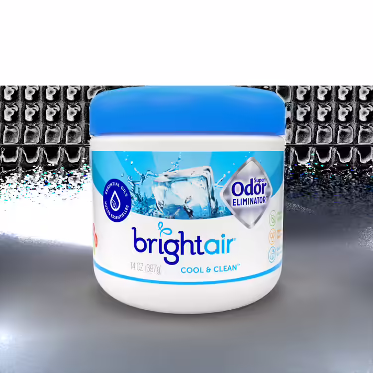 Bright Air Solid Air Freshener
