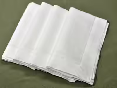 Bumblebee Linens White Linen Hemstitched Dinner Napkins