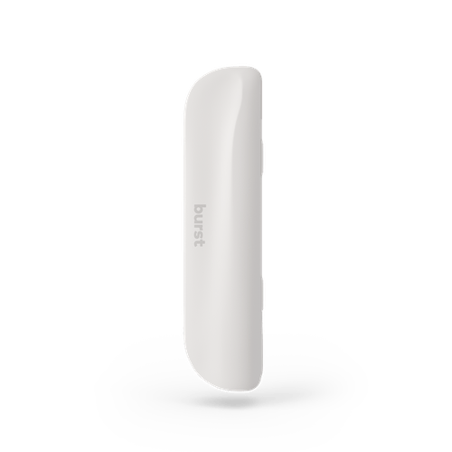 Burst Electric Toothbrush Travel Case