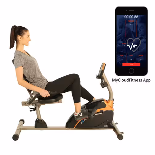 EXERPEUTIC Weight Capacity Recumbent Exercise Bike