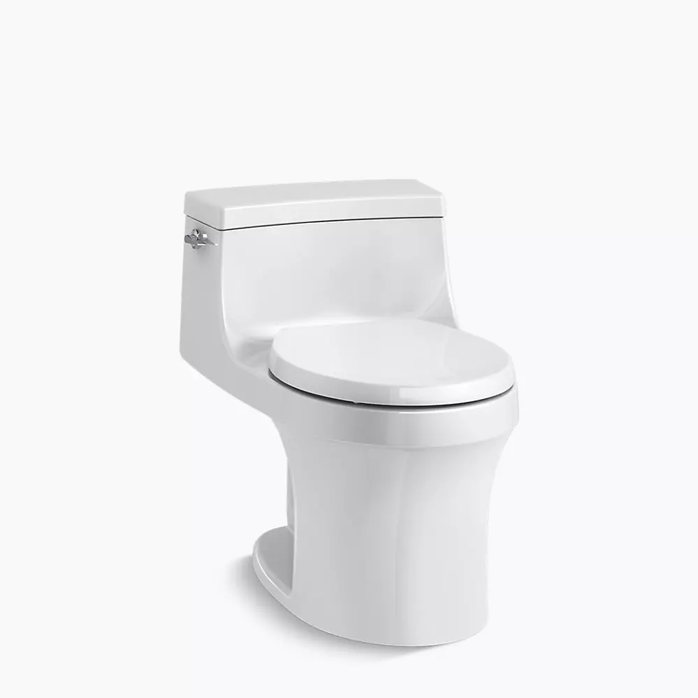 Kohler Toilet