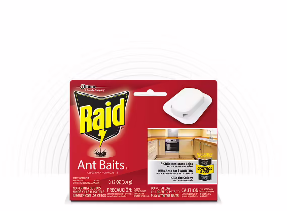 Raid Ant Baits