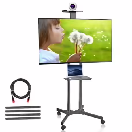 Suptek Mobile TV stand