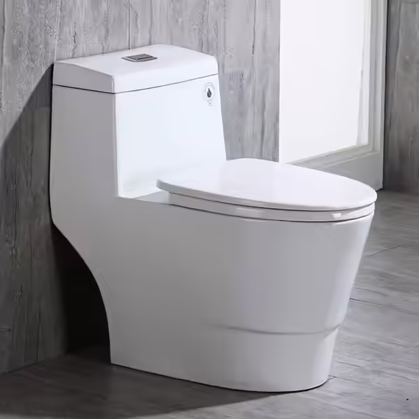 Woodbridge One-Piece Toilet